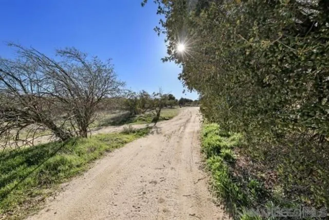 a view of a road with a yard