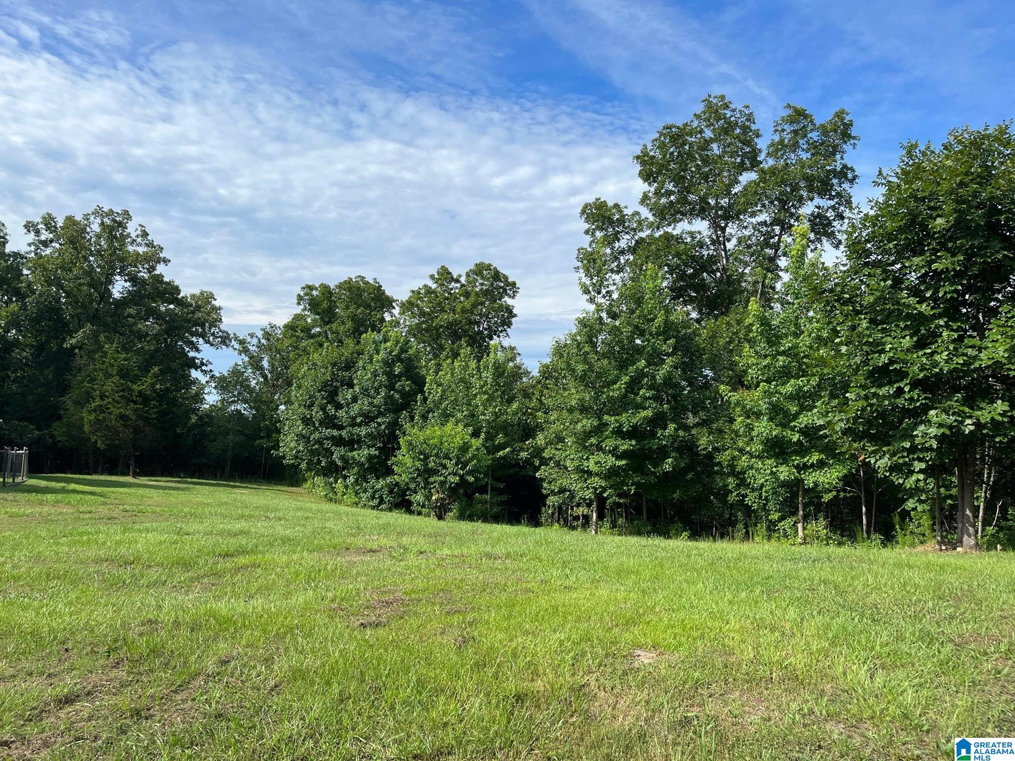 135 Stephens Drive Montevallo, AL 35115 - Photo 15 of 16