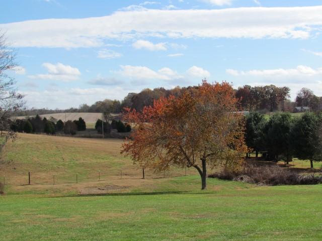 3875 Armstrong Road Springfield, TN 37172 - Photo 3 of 19