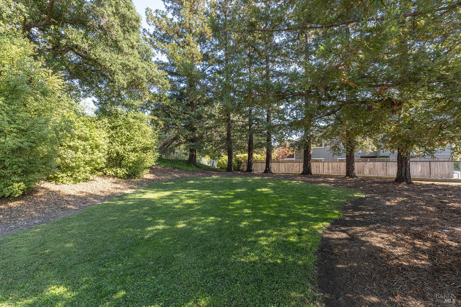 2773 Elks Way Napa, CA 94558 - Photo 35 of 39 a view of outdoor space with trees