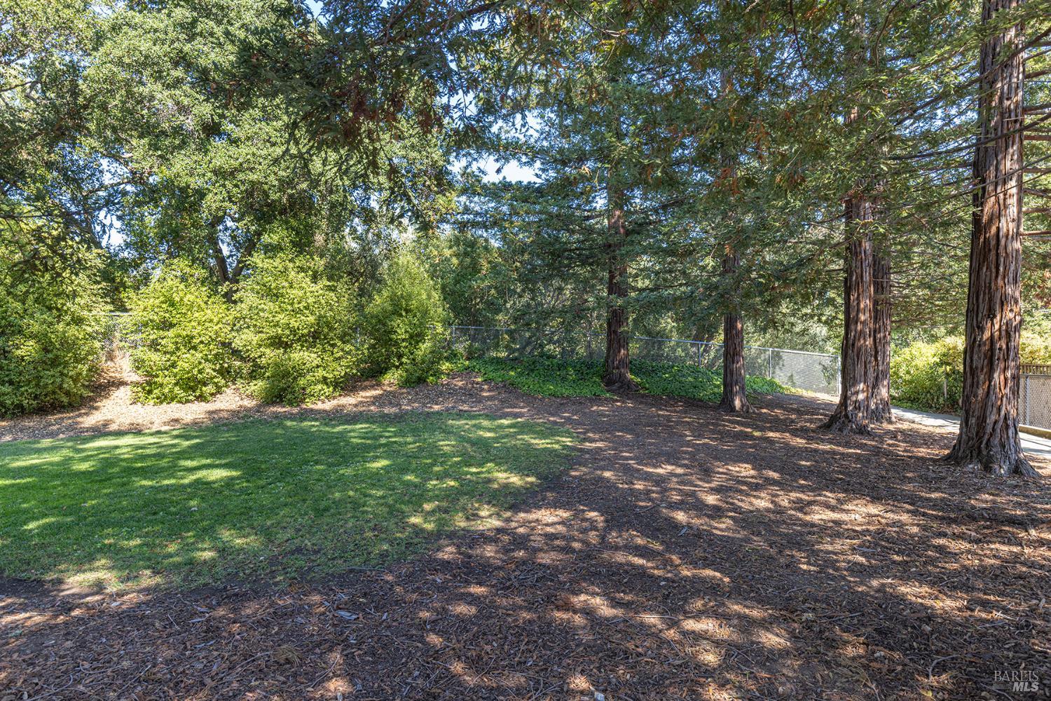 2773 Elks Way Napa, CA 94558 - Photo 36 of 39 a big yard with lots of green space and deers