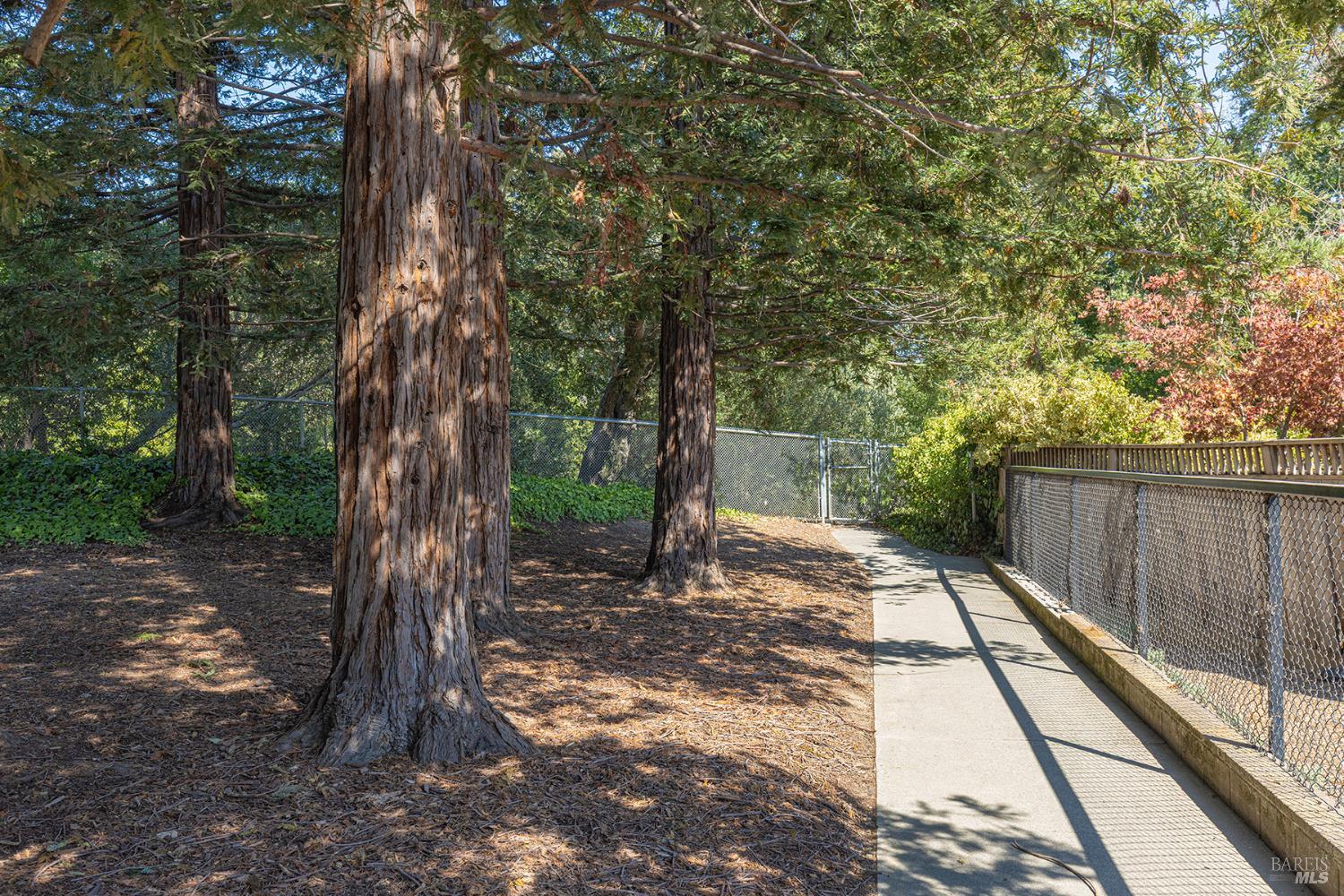 2773 Elks Way Napa, CA 94558 - Photo 39 of 39 a pathway of a yard