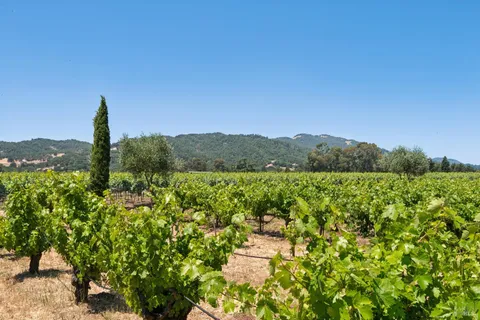 $2,350,000 | 1075 Lark Avenue, Sonoma, CA 95476