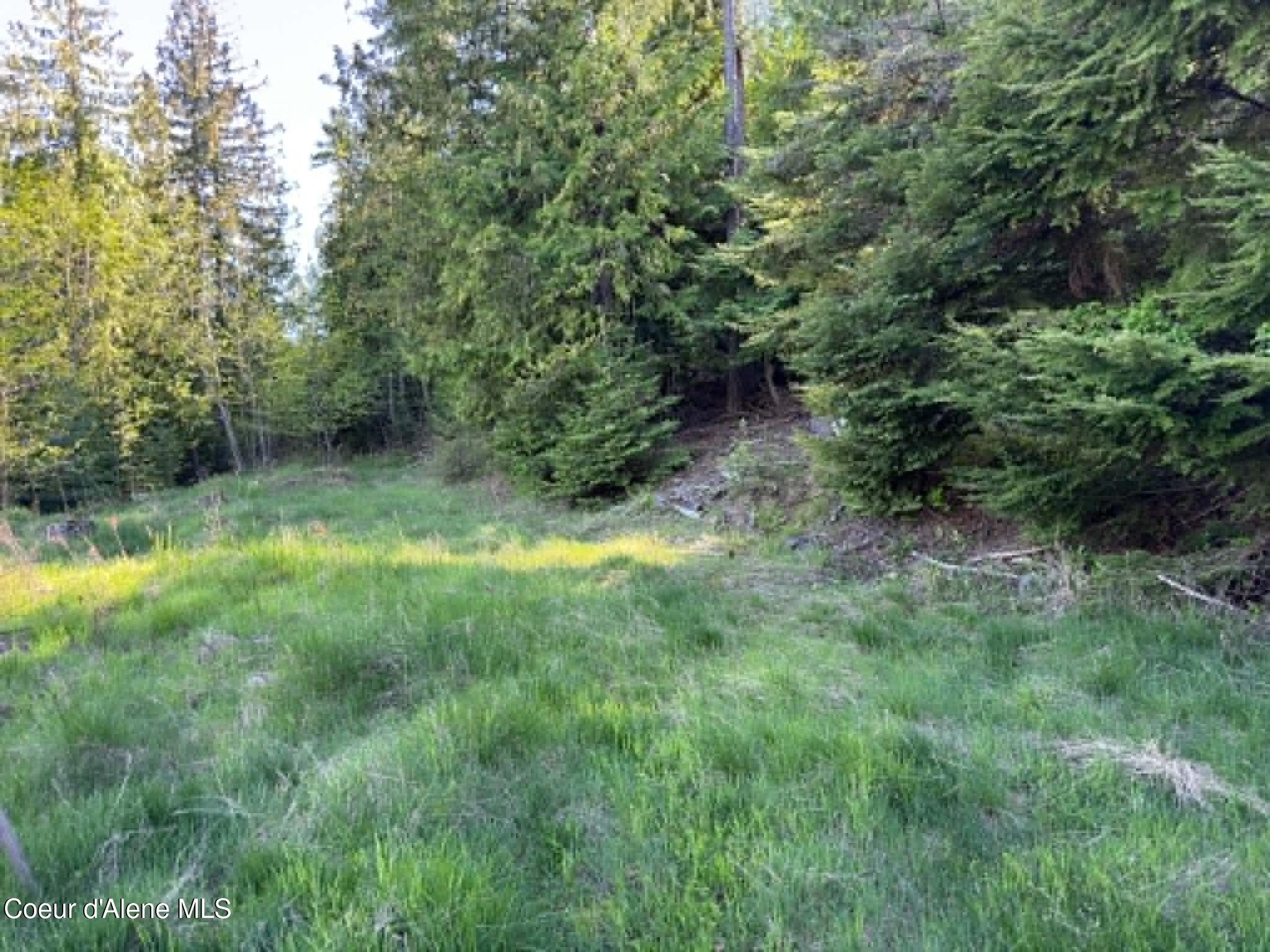 90 Shawnee Path Sagle, ID 83860 - Photo 21 of 47 f55e329f-3c8c-4f0f-b12a-a246c11f2020