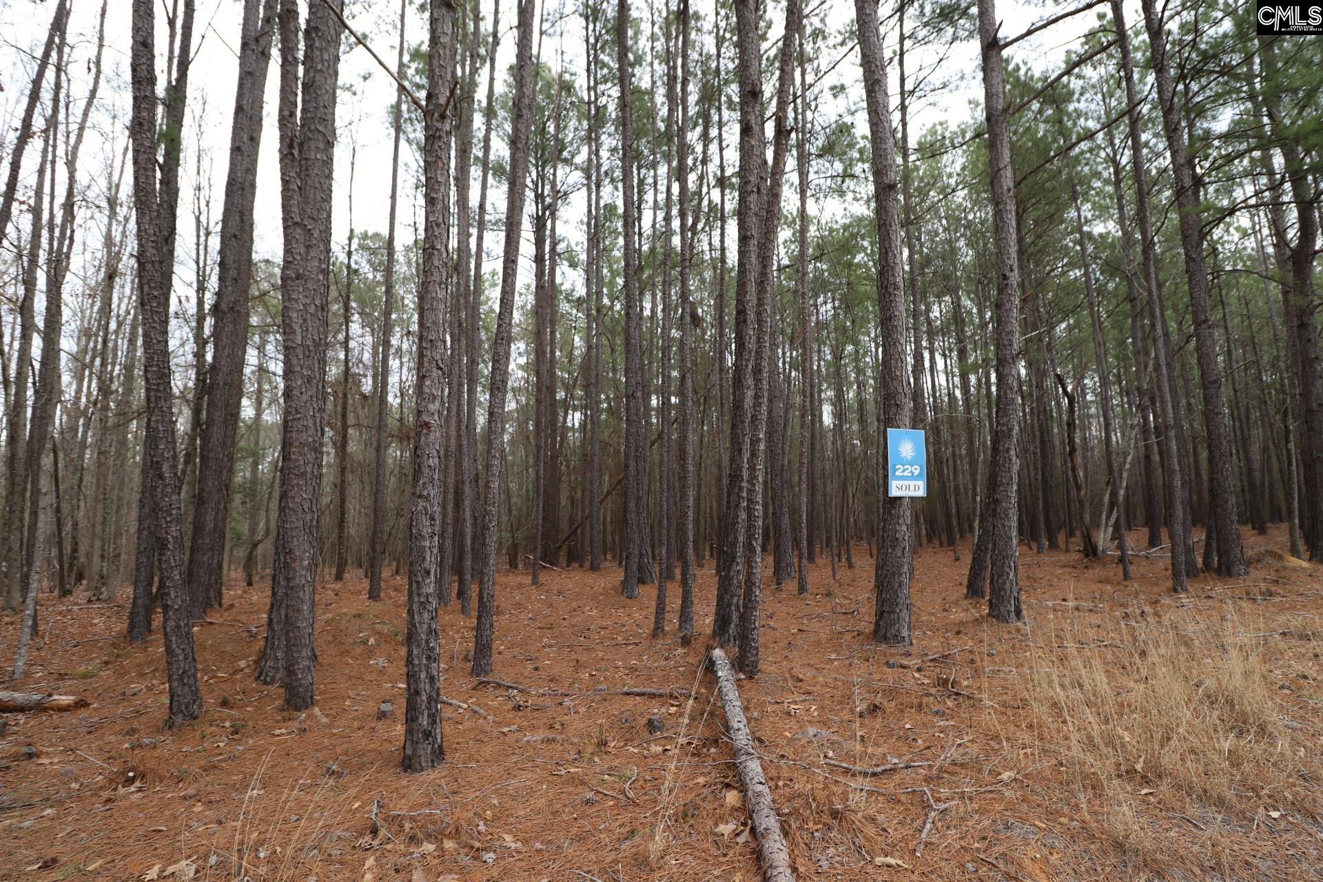 Lot 229 Granny Hill Road Prosperity, SC 29127 - Photo 50 of 61