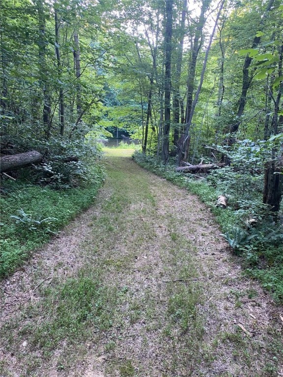 1171 Poplar Grove Road Peebles, OH 45660 - Photo 4 of 7