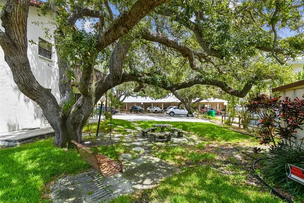 a view of a yard with plants and large trees