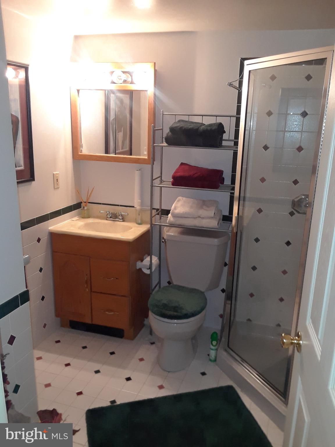 1317 Kingsbury Drive Bowie, MD 20721 - Photo 23 of 27 Basement Bathroom