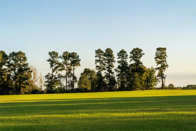 a view of a golf course with a lake