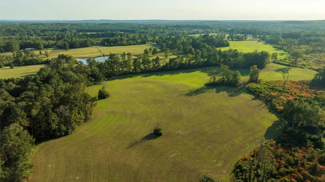a view of a green field