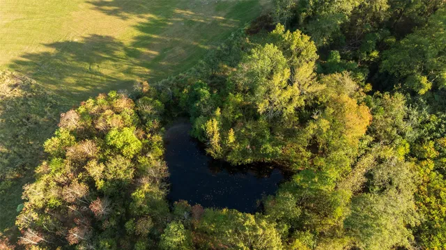 a view of a large yard with lots of bushes