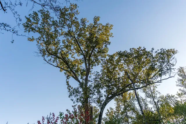 a view of an ocean and beach