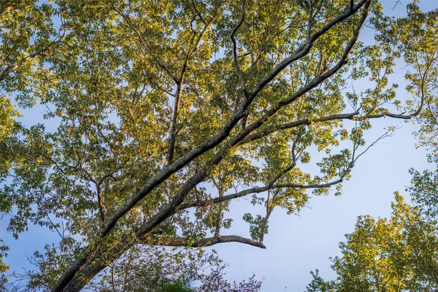 a view of lake with a green yard