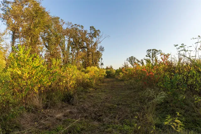 a view of a lake with a tree