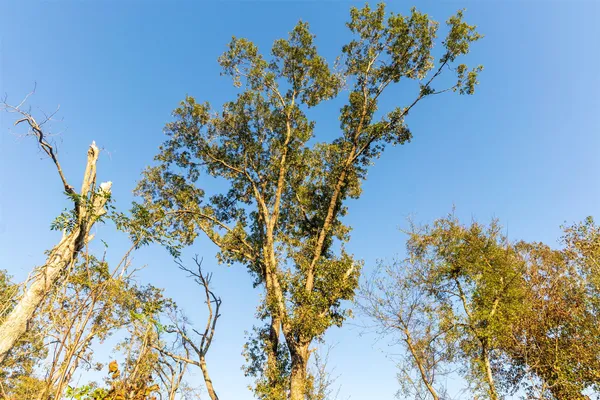 a view of lake view and mountain
