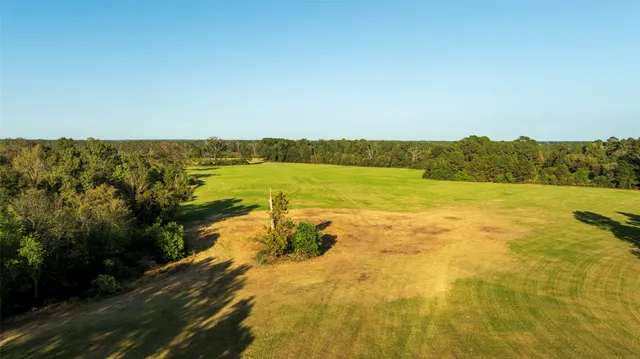an aerial view of residential houses with outdoor space and trees