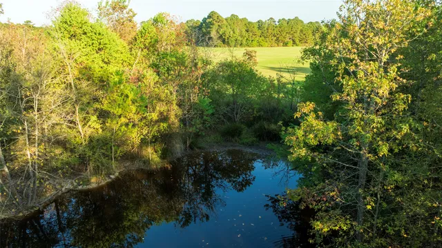 an aerial view of residential houses with outdoor space and trees