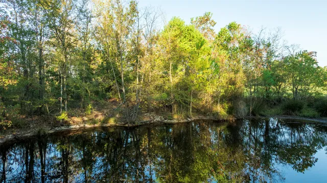 a view of a lake with a yard