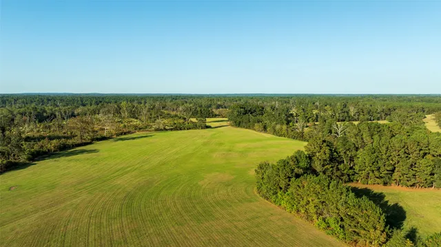 a view of yard with ocean view