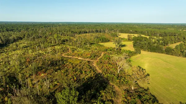 a view of a city with an ocean