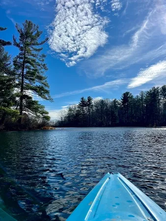 a view of a lake with a city view