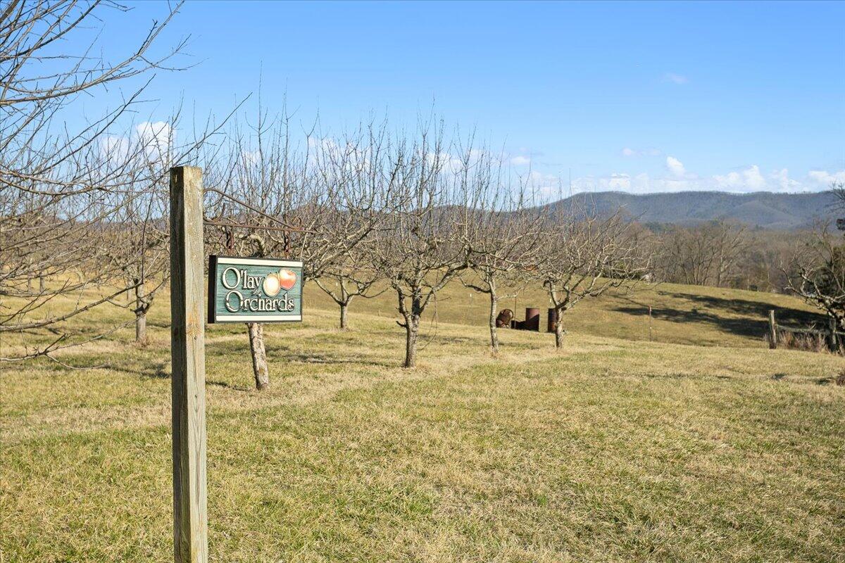 360 Maple Ridge Lane Fincastle, VA 24090 - Photo 42 of 77 42-360 Maple Ridge Ln_42