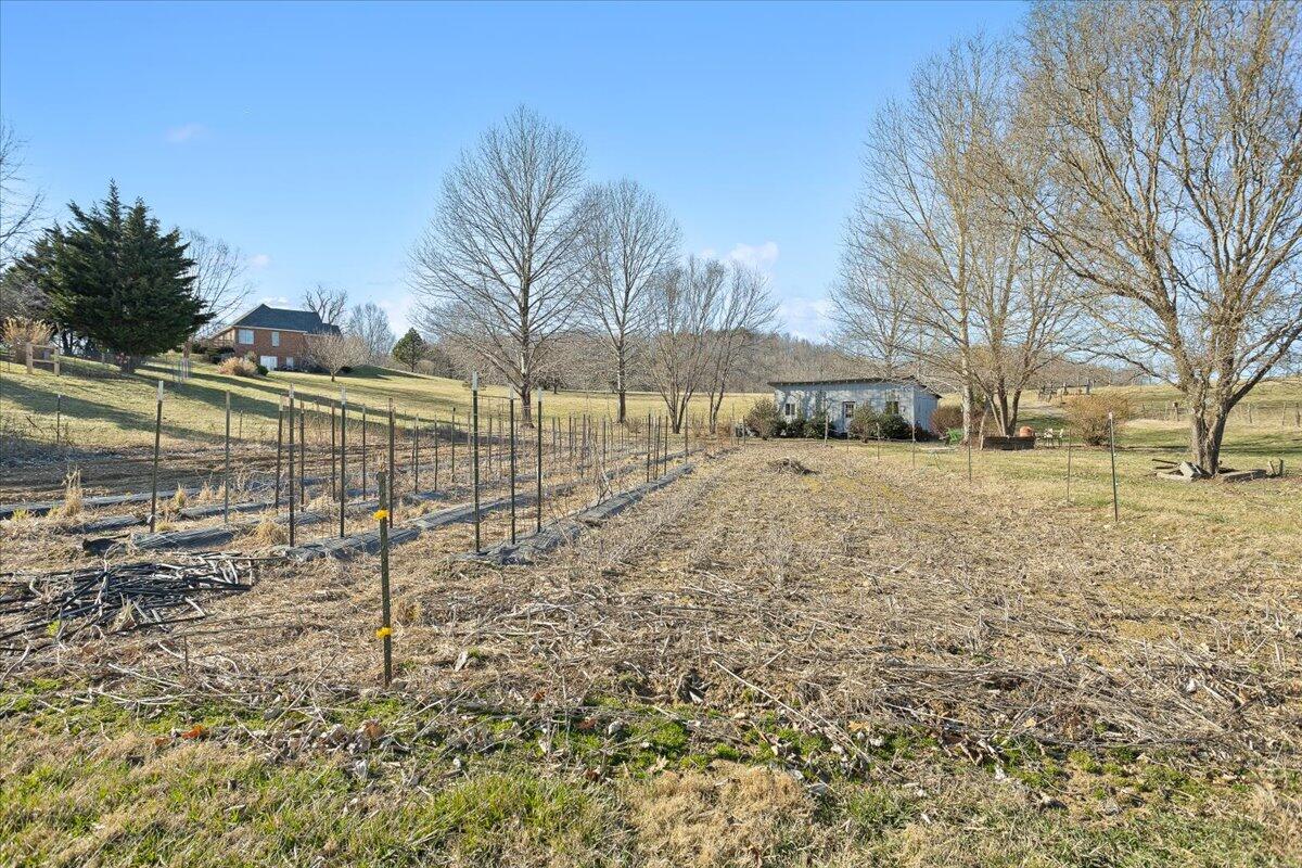 360 Maple Ridge Lane Fincastle, VA 24090 - Photo 44 of 77 a view of a yard with a house