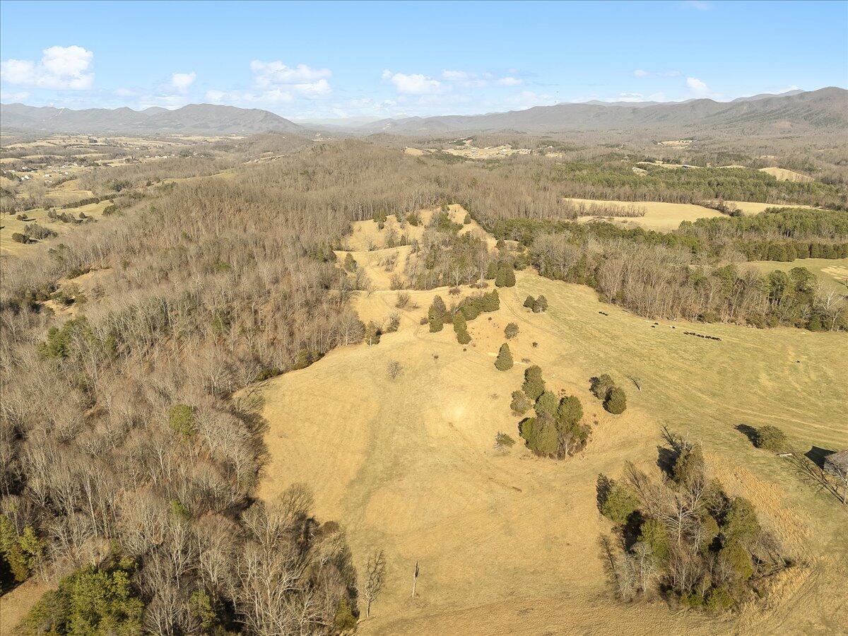 360 Maple Ridge Lane Fincastle, VA 24090 - Photo 59 of 77 a view of lake view and mountain view