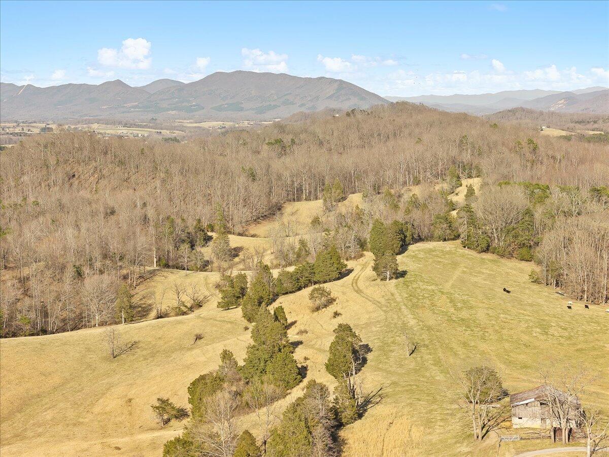 360 Maple Ridge Lane Fincastle, VA 24090 - Photo 61 of 77 61-360 Maple Ridge Ln_61