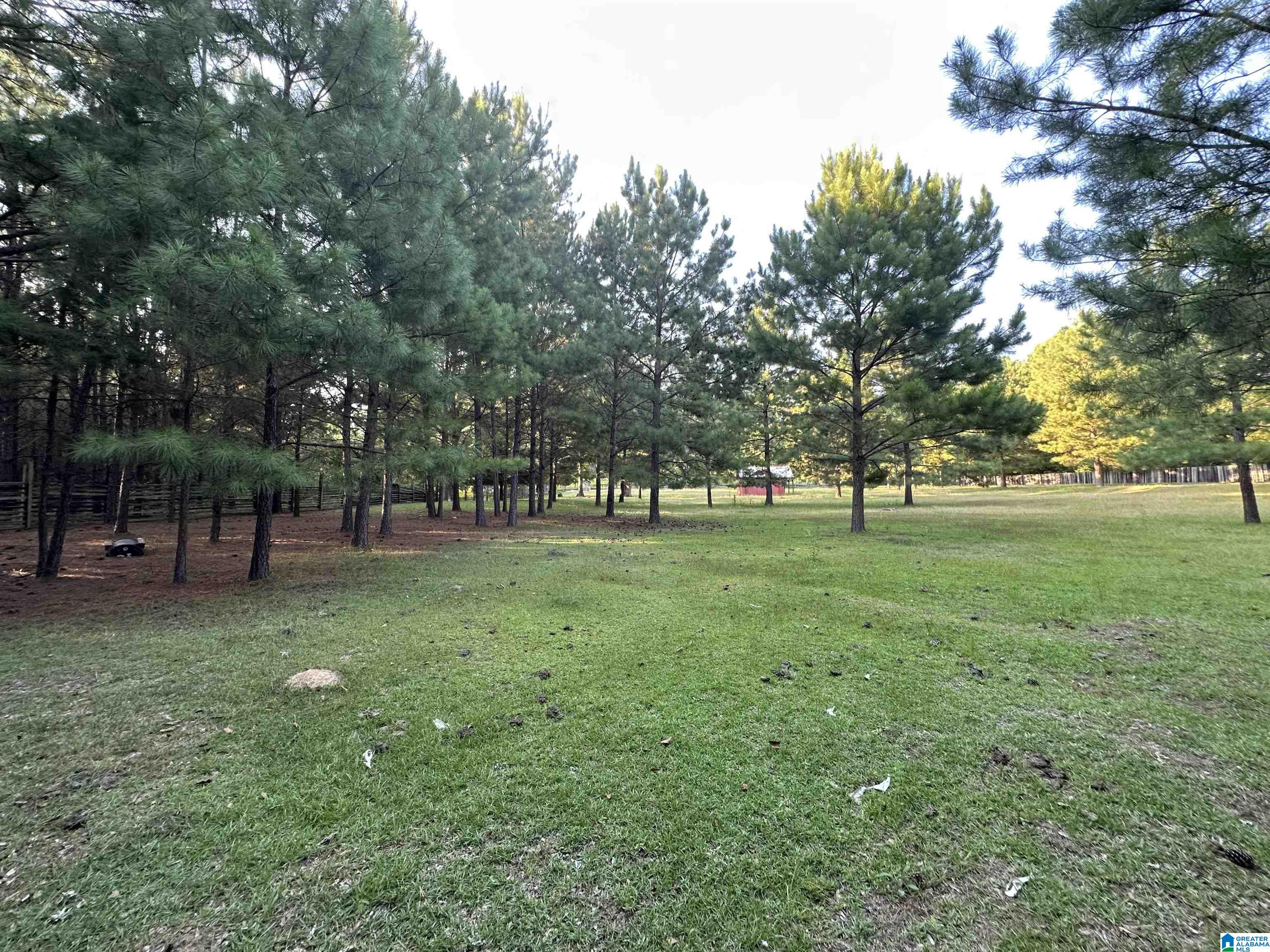 0 Honeycut Road Randolph, AL 36792 - Photo 14 of 29