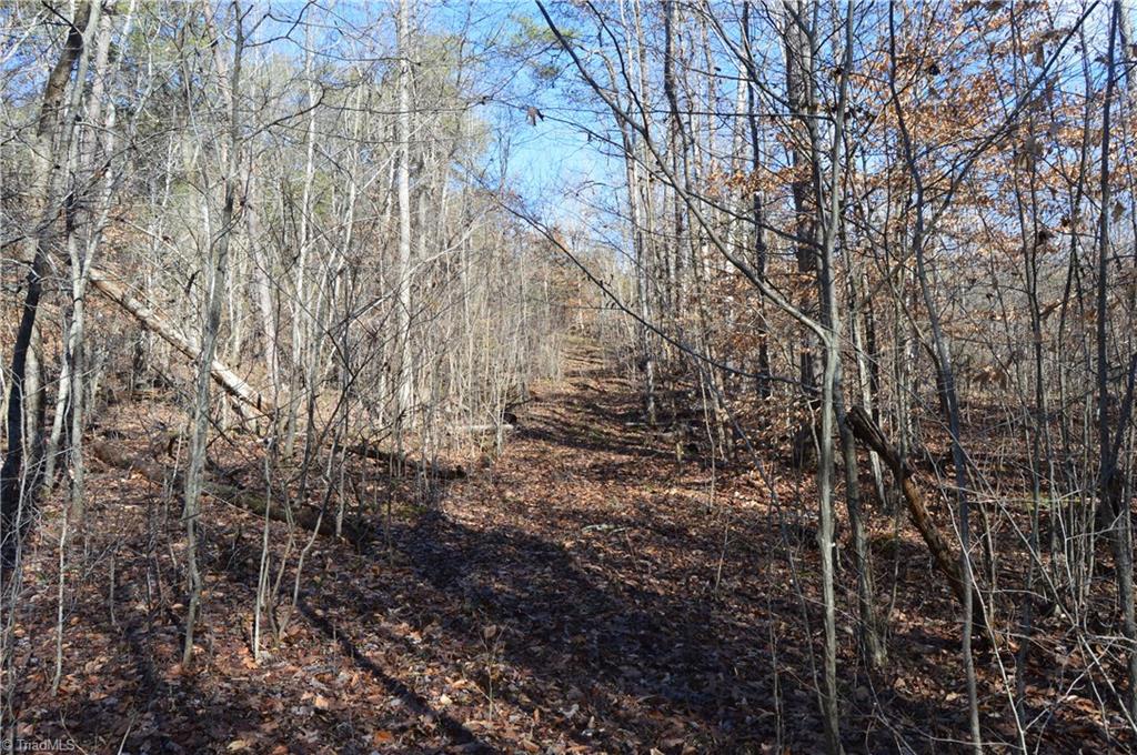 1429 Apple Road Reidsville, NC 27320 - Photo 11 of 30 Gallery Image 11