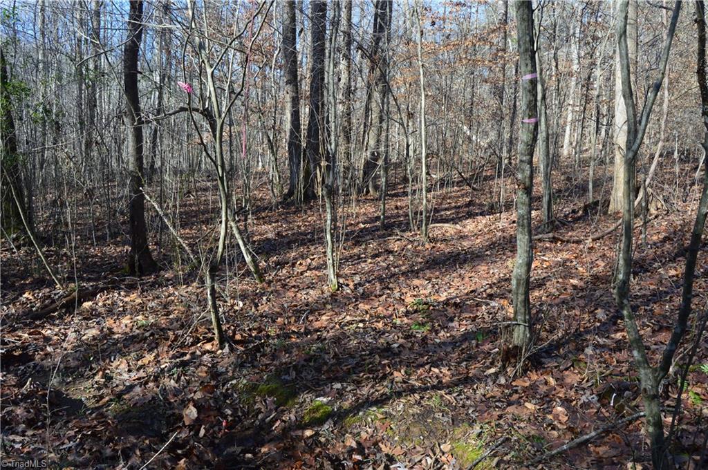 1429 Apple Road Reidsville, NC 27320 - Photo 13 of 30 Gallery Image 13