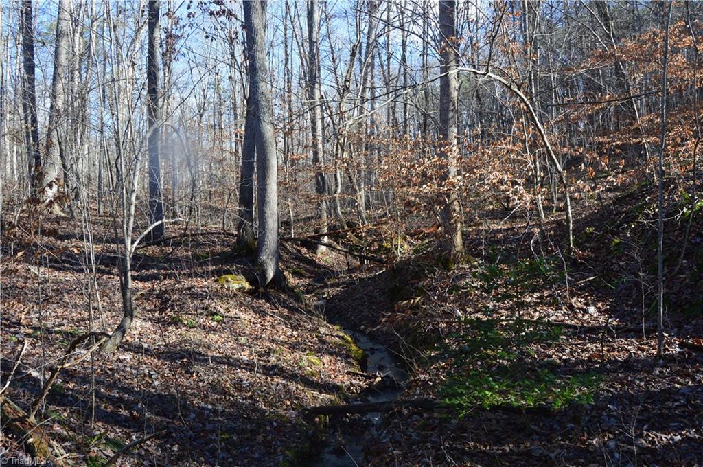 1429 Apple Road Reidsville, NC 27320 - Photo 18 of 30 Gallery Image 18