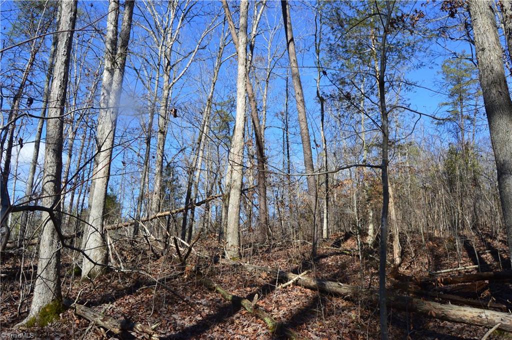 1429 Apple Road Reidsville, NC 27320 - Photo 20 of 30 Gallery Image 20