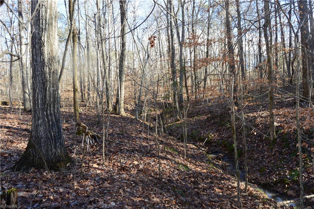 1429 Apple Road Reidsville, NC 27320 - Photo 21 of 30 Gallery Image 21
