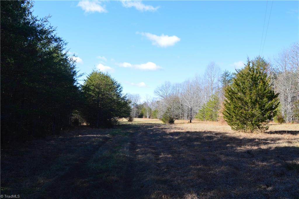 1429 Apple Road Reidsville, NC 27320 - Photo 22 of 30 Gallery Image 22