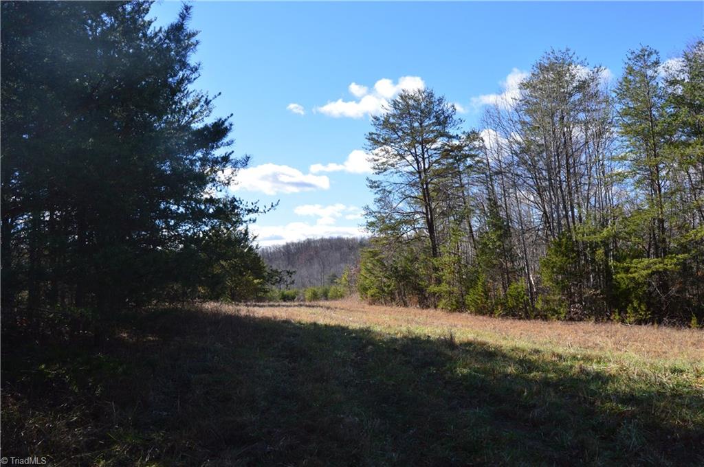 1429 Apple Road Reidsville, NC 27320 - Photo 23 of 30 Gallery Image 23