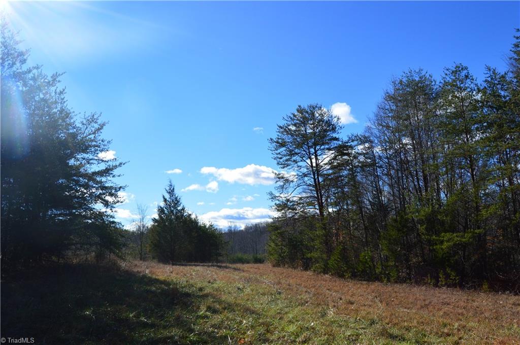 1429 Apple Road Reidsville, NC 27320 - Photo 24 of 30 Gallery Image 24