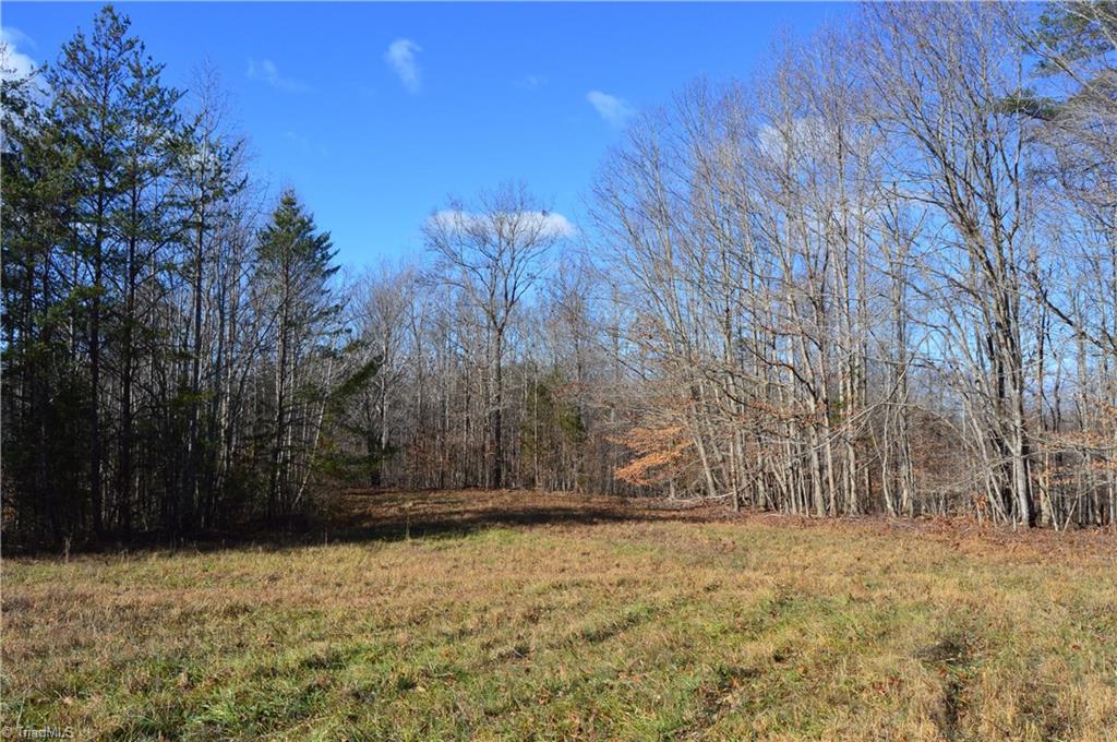 1429 Apple Road Reidsville, NC 27320 - Photo 25 of 30 Gallery Image 25