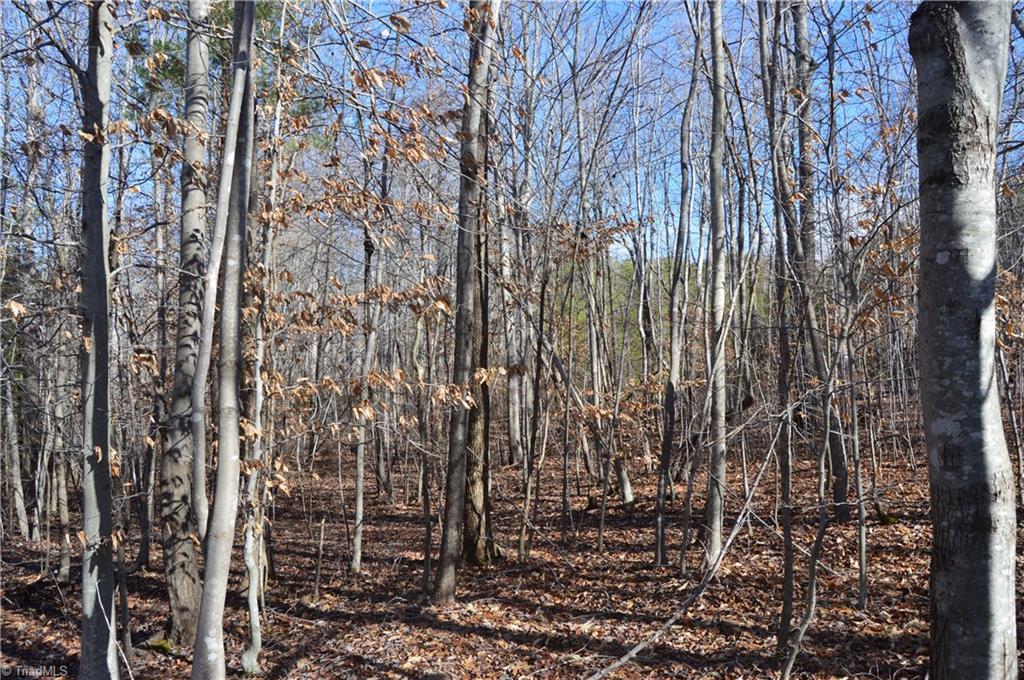 1429 Apple Road Reidsville, NC 27320 - Photo 26 of 30 Gallery Image 26