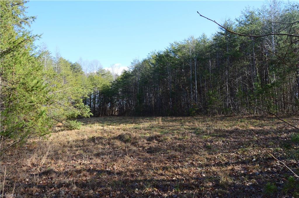 1429 Apple Road Reidsville, NC 27320 - Photo 27 of 30 Gallery Image 27
