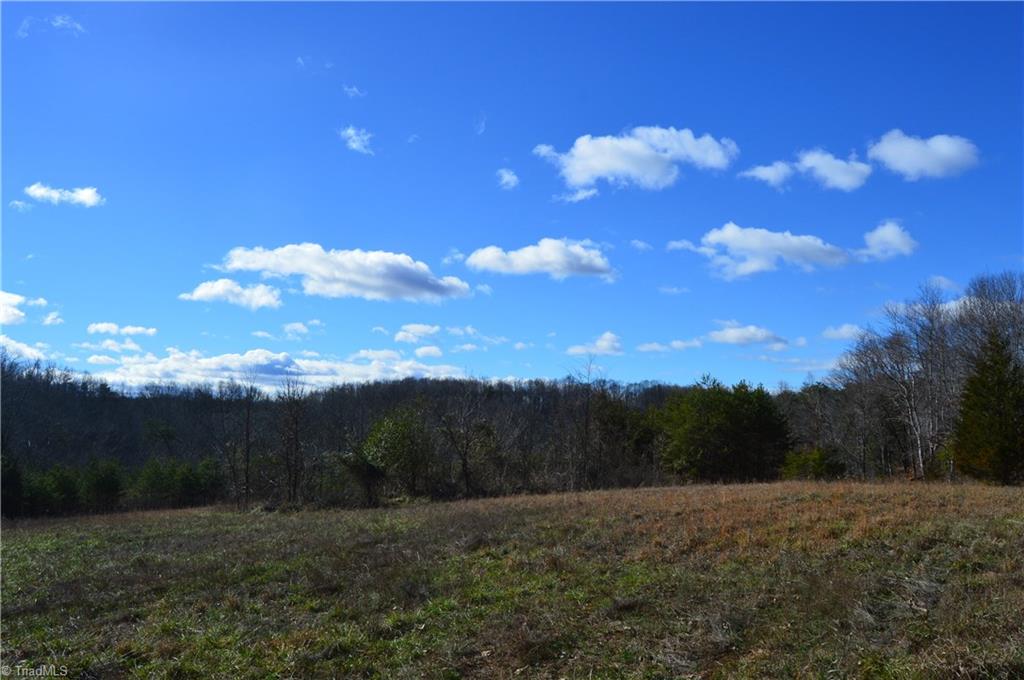 1429 Apple Road Reidsville, NC 27320 - Photo 29 of 30 Gallery Image 29