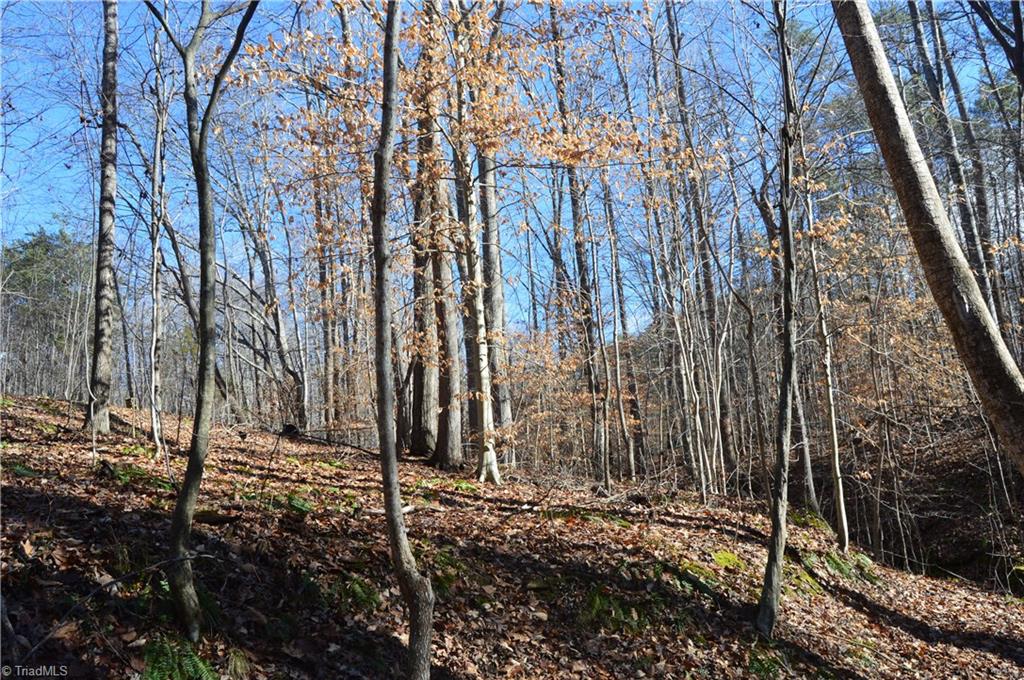 1429 Apple Road Reidsville, NC 27320 - Photo 7 of 30 Gallery Image 7