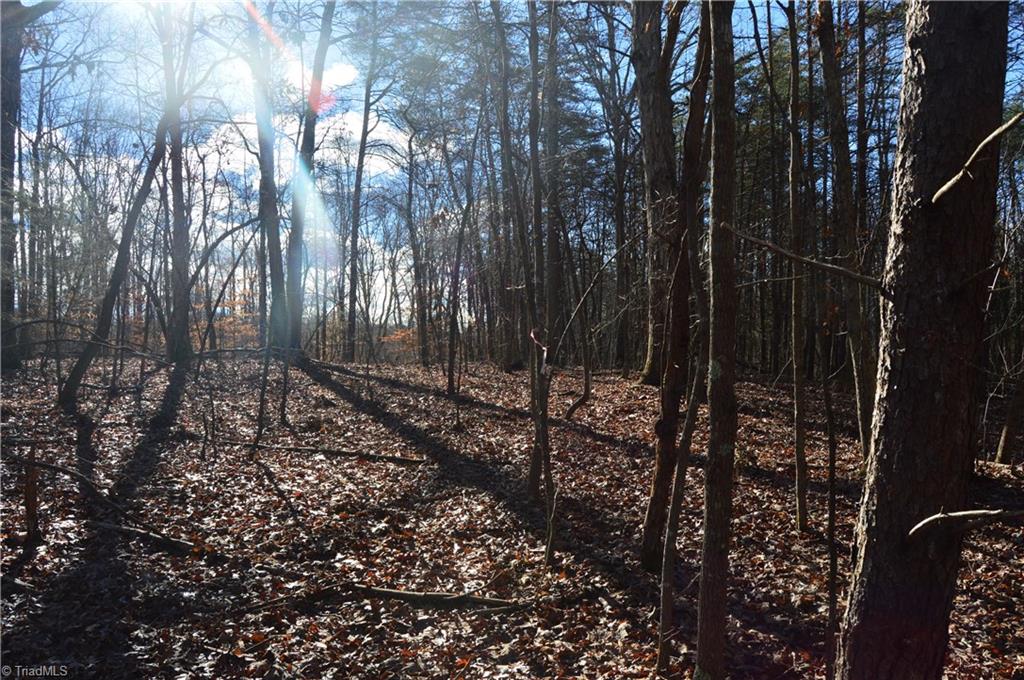 1429 Apple Road Reidsville, NC 27320 - Photo 10 of 30 Gallery Image 10