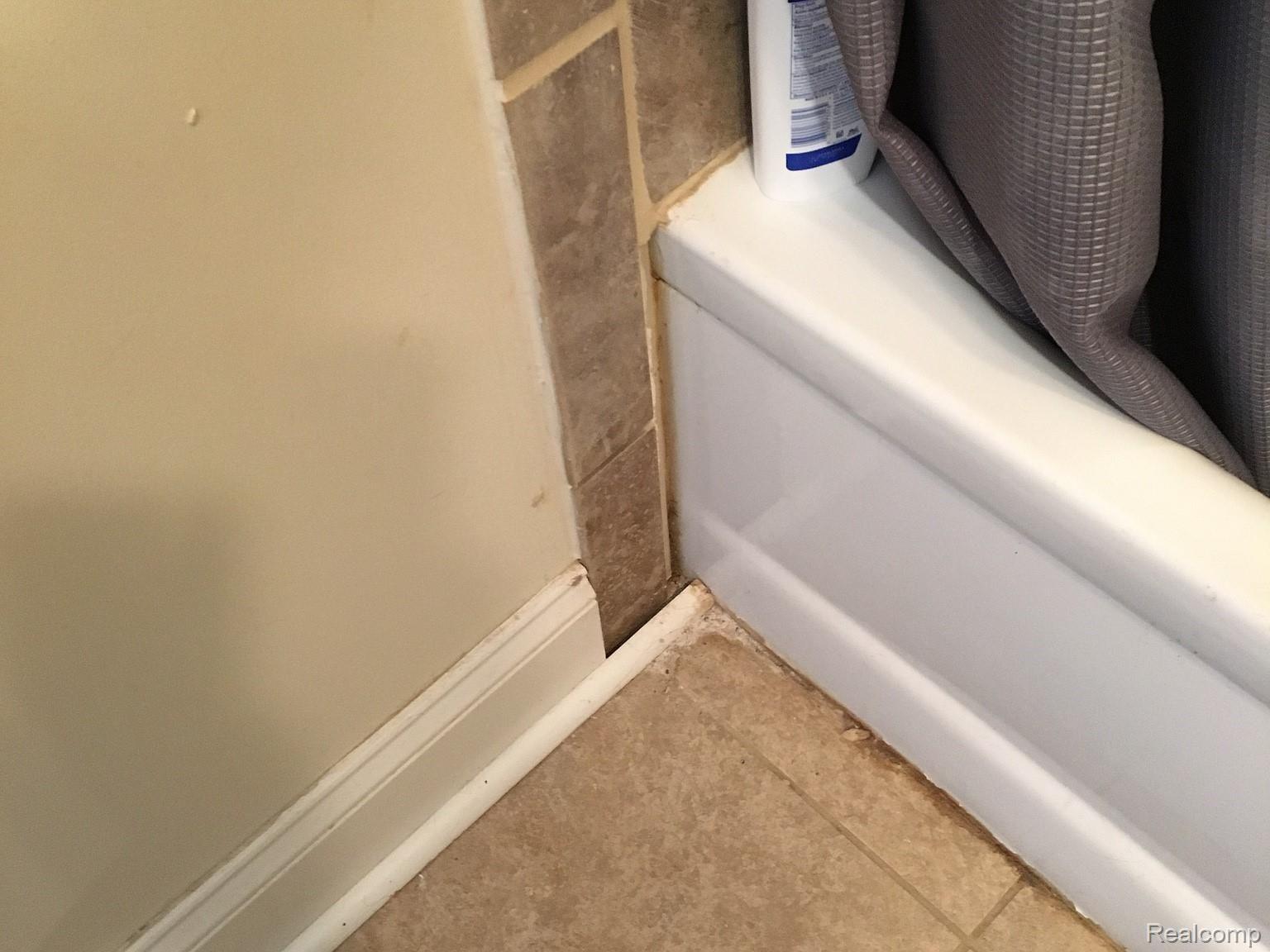 2196 Byron Road Howell, MI 48855 - Photo 19 of 23 34.jpg