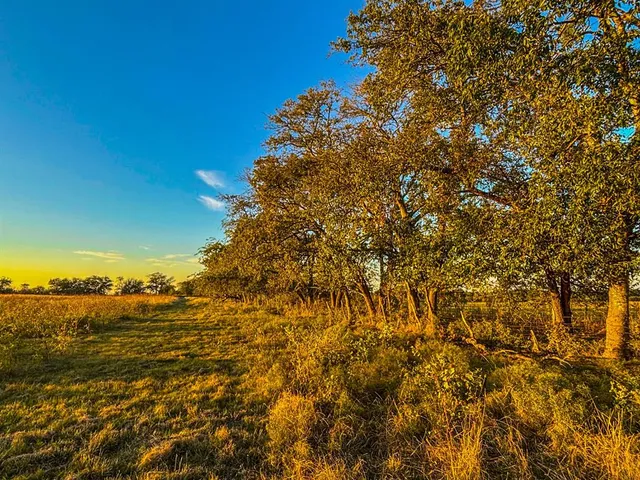 $1,000,000 | 515 County Road 262, Crawford, TX 76638
