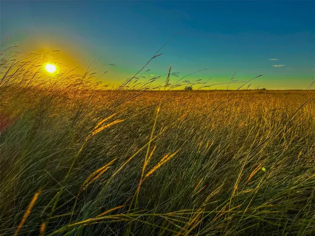 $1,000,000 | 515 County Road 262, Crawford, TX 76638