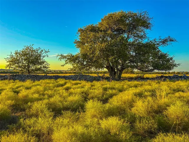 $1,000,000 | 515 County Road 262, Crawford, TX 76638