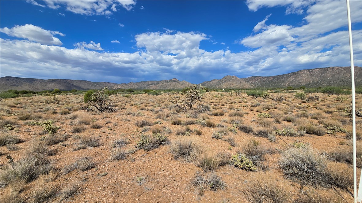 353-36-158 North Tyree Road Hackberry, AZ 86411 - Photo 3 of 19