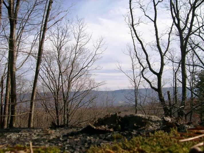 Lot 217 Jason Road Pikeville, TN 37367 - Photo 1 of 26 100_1451